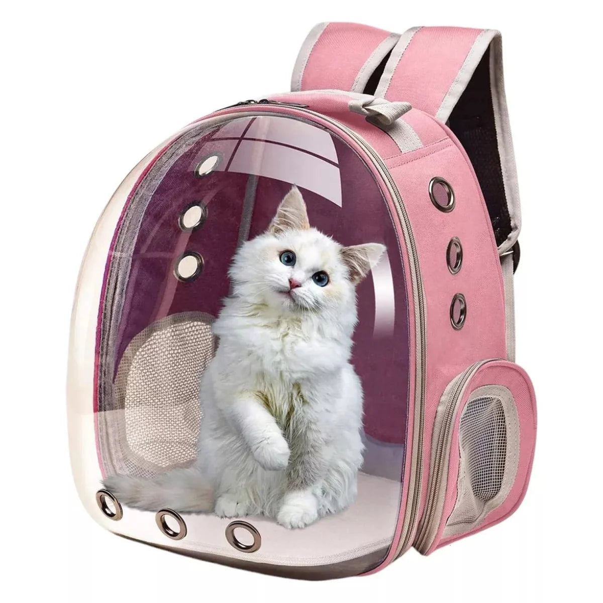 Mochila Transparente para Mascotas · Estilo Cápsula