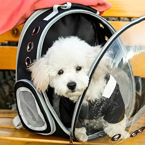 Mochila Transparente para Mascotas · Estilo Cápsula